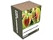 Kitchen & Housewares : Grow It - Carnivorous Plants Gift Set