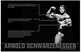 Arnold Schwarzenegger - Musclebound - Success Quotes 11x17 Poster