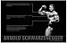 Arnold Schwarzenegger - Musclebound - Success Quotes 11x17 Poster