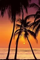 Tropical Sunset (Palm Trees) Art Poster Print - 61x91 cm