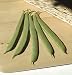 David's Non-Hybrid Italian Green Bush Bean Pension 100 Seeds per Packet