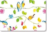 Watercolor Birds Note Cards (Boxed Cards, Stationery)