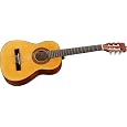 Jasmine by Takamine JS141 Acoustic Guitar Pack