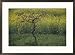 A view of a mustard field, grown for the oil, in the southern countryside of Rajasthan State Photography Framed Art Poster Print by Bill Ellzey, 29x21