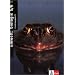 Umwelt Biologie, L�nderausgabe B, 5./6. Schuljahr: F�r Brandenburg, Bremen, Hamburg, Mecklenburg-Vorpommern, Rheinland-Pfalz, Saarland und Sachsen-Anhalt