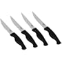 Revere Never Needs Sharpening Poly 4-Piece Steak Set