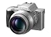 Panasonic Lumix DMC-FZ20 EG-S Digitalkamera (5 Megapixel) silber