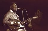 Muddy Waters & B. B. King, Art Poster by Bill Greene