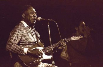 Muddy Waters & B. B. King, Art Poster by Bill Greene
