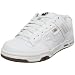 DVS Men's Enduro Heir Skate Shoe