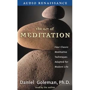 The Art of Meditation - Daniel Goleman