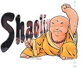 Martial Arts T-shirt - Shaolin (White T-shirt) - CHL, CHM, L, M, S, or XL