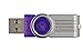 Kingston Digital DataTraveler 101 Generation 2 - 32 GB Flash Drive DT101G2/32GBZET