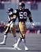 Jack Ham Pittsburgh Steelers 8x10 Photo