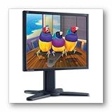 19IN LCD 1000:1 1280X1024 VP930B-2 Black 2VGA/1DVI-D Tlt/swvl