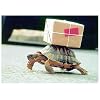Postkarte Express