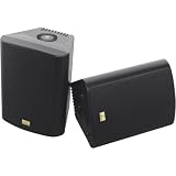 5.25 Black Cabinet Speaker