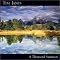 Into Enya, Yanni, Enigma / great Instrumentals ...then click
