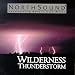 Wilderness Thunderstorm - Wilderness Thunderstorm