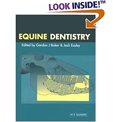 Equine Dentistry
