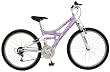 Pacific Chromium Bike