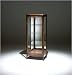 CURIO　CASE