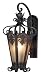 Eurofase 17474-016 Lonsdale 1-Light Medium Wall Sconce, Antique Sable/Mottled Amber