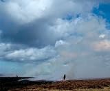 Setting the fell on fire : Allenheads Contemporary Arts : contemporary art in a rural context