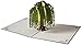 Lovepop Willow Tree 3D Pop-Up Greeting Card