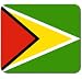 Guyana Guyanese Flag Mousepad Mouse Pad Mat