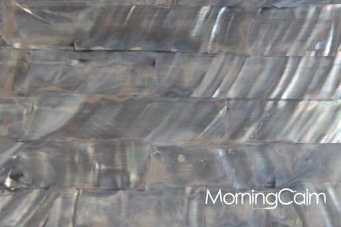 White Freshwater Shell Adhesive Veneer Sheet