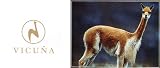 西川ビクーニャ毛布　VICUNA BLANKET　／シングル