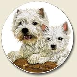 West Highland Westie Terrier absorbent Auto Coaster For Car