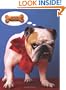 39th Publication Design Annual (Society of Publication Designers' Publication Design Annual)
