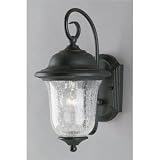 Vintage Bronzed Lantern 1 Light Westinghouse 64841 - B00067YQ16