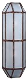 3046 Outdoor Light Wall Fixture in Rust & Frost