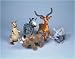 In The Wild Animal Set