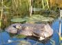 Pond - Kfk floating hippo 16 in