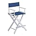 Home Decorators Collection Director' s Counter Stool Frame, 24