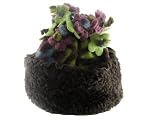 Kiwi Modern Love flower top Hat