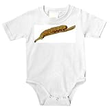 Onesie with butterfly, invertebrate, larva, metamorphosis, insect, crawling, animal, immature, sawfly, larv, arthropod, juvenile, caterpillar