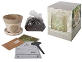 Esschert Design USA 3250 Secrets du Potager Mint Herb Growing Set