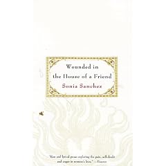 Wounded in the House of a Friend