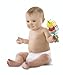 Fisher-Price Ocean Wonders Fish Dumbell Rattle
