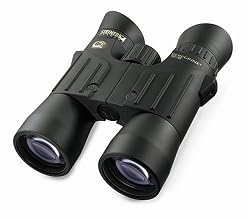 Steiner 10x42 Peregrine Binocular