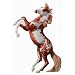 Horses! DVD, Breyer, etc...