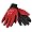 Wisconsin Badgers