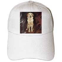 Dogs Golden Retriever - Golden Retriever - Caps