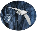 Solar Seagull
