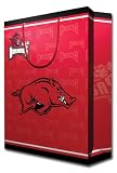 University of Arkansas Team Logo Gift Bag (Large)